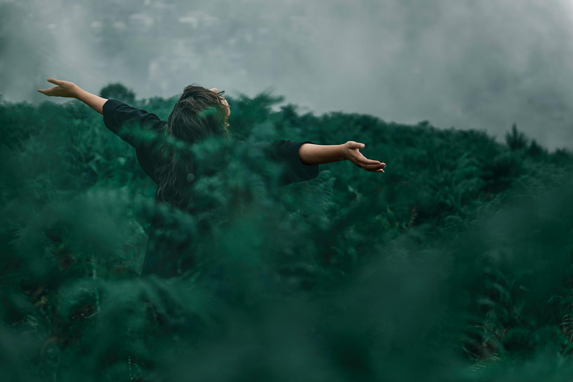 Visuel illustrant une femme, les bras ouverts, située dans des herbes hautes et denses.